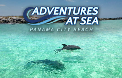 Dolphins swimming in the ocean are some of the wonders you will see with Adventures at Sea in Panama City Beach Florida.