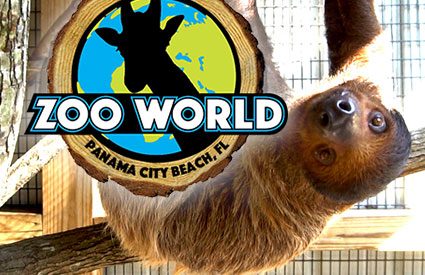 Check out Zoo World in Panama City Beach FL.